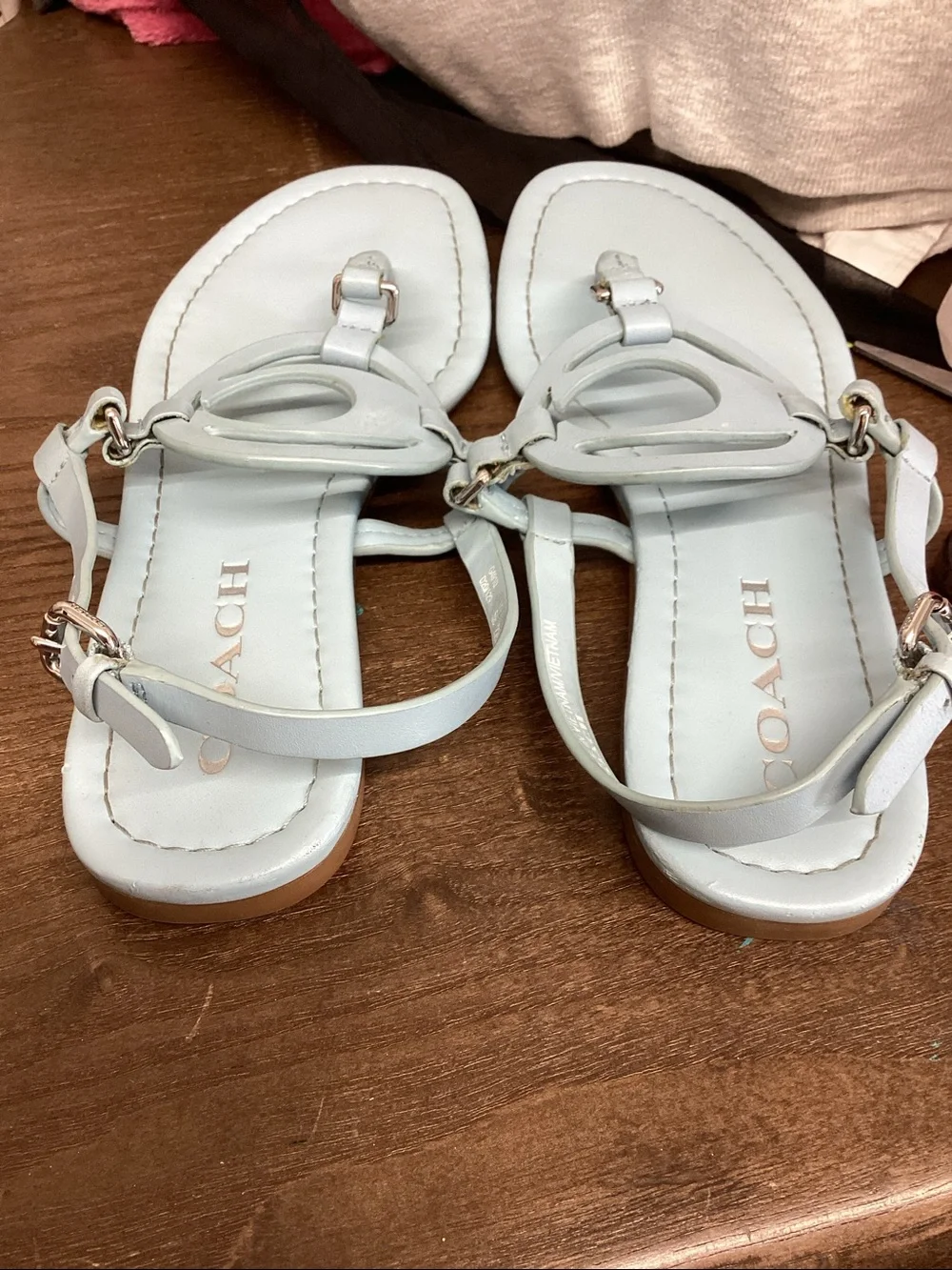Coach Light Blue Jeri Thong Sandals